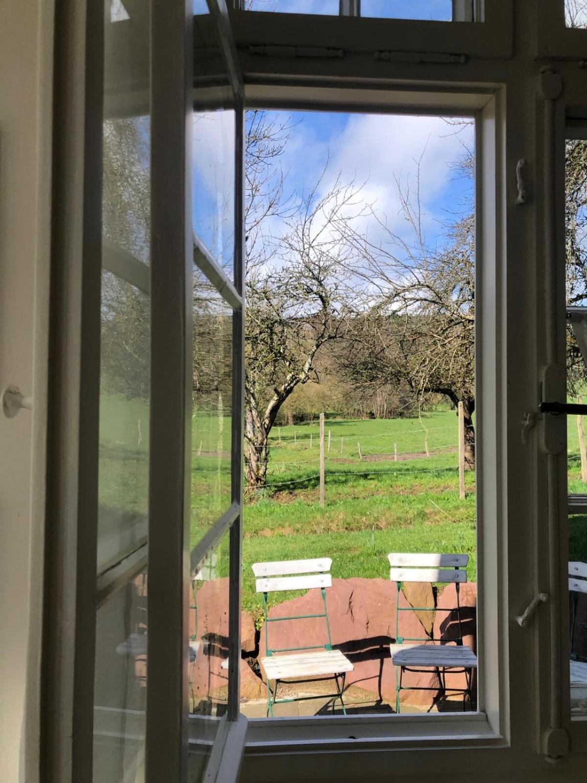 Ferienwohnung Am Stockerbach Freudenstadt Exteriör bild